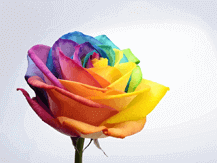 image07