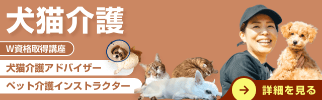 犬猫介護アドバイザーW資格（動物介護資格）取得検定の通信講座