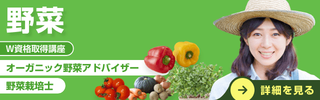 オーガニック野菜資格取得講座