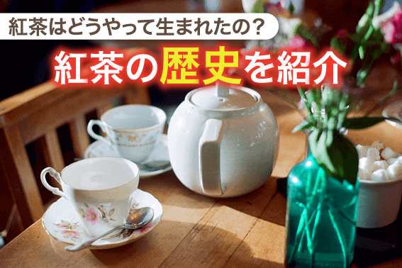 紅茶はどうやって生まれたの？紅茶の歴史を紹介