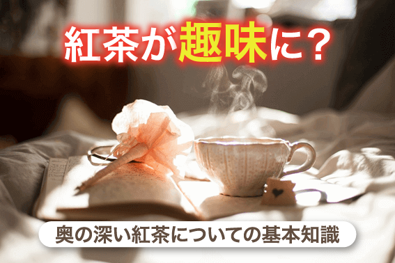 紅茶が趣味に？奥の深い紅茶についての基本知識