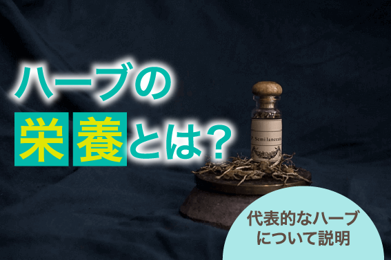 ハーブの栄養とは？代表的なハーブについて説明