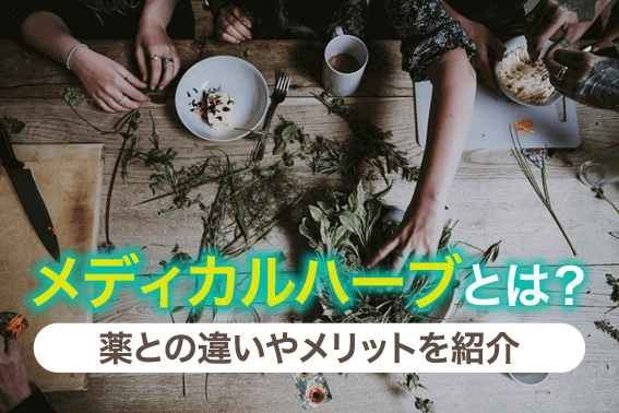 メディカルハーブとは?薬との違いやメリットを紹介