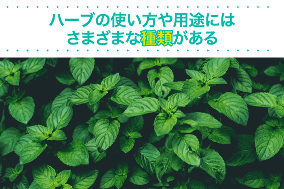 ハーブの使い方や用途にはさまざまな種類がある