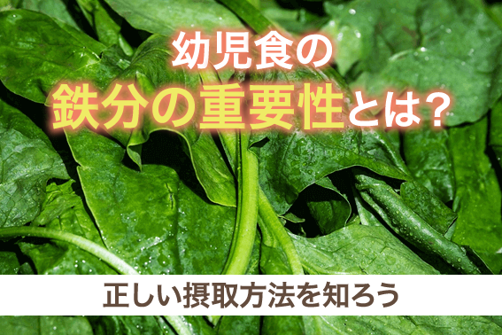 幼児食の鉄分の重要性とは？正しい摂取方法を知ろう