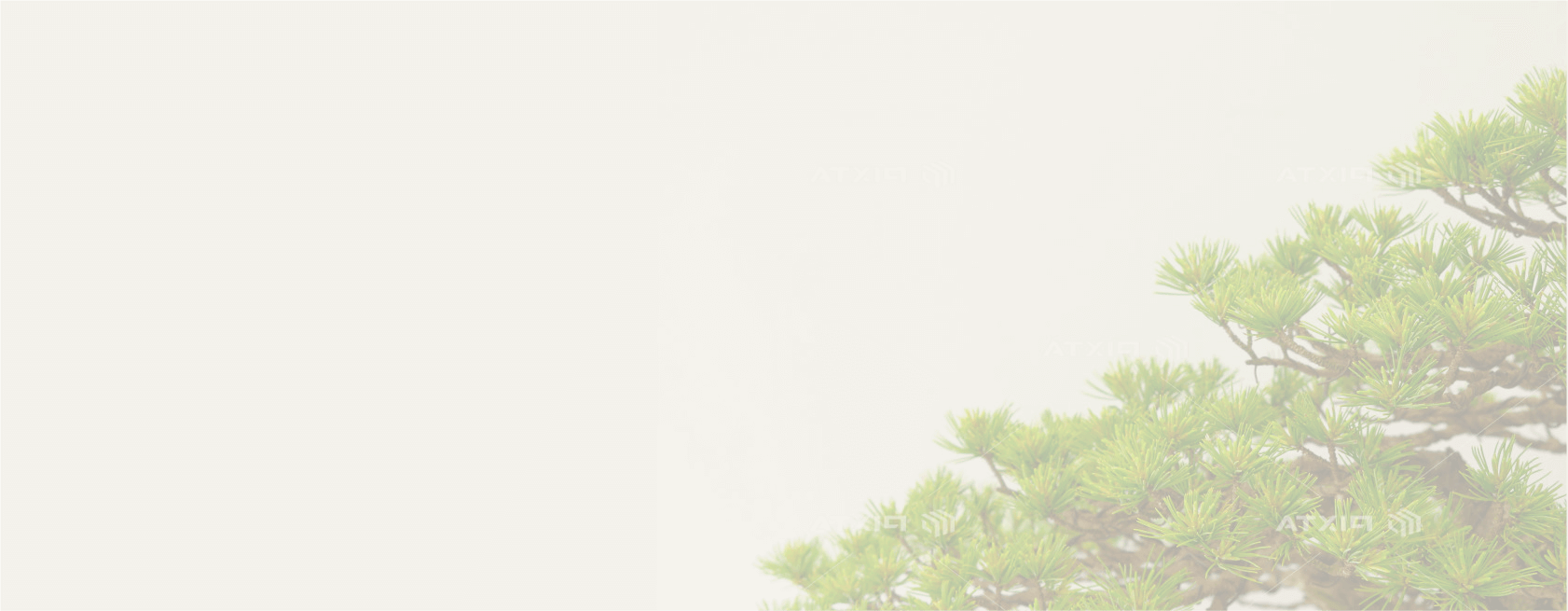 SARAの盆栽・苔玉講座で取得できる資格
