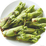 山菜資格講座