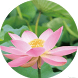 二十四節気資格講座