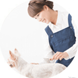 ペットトリミング資格講座
