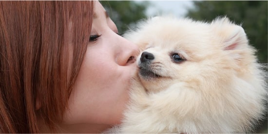 犬や猫が好きで動物にふれる仕事をしたい人