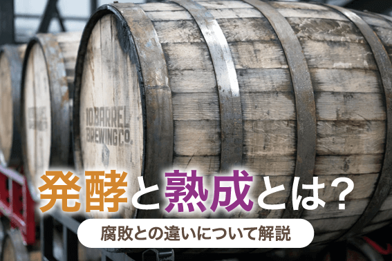 発酵と熟成とは？腐敗との違いについて解説