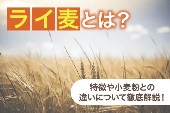 ライ麦とは？特徴や小麦粉との違いについて徹底解説！