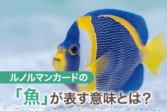 ルノルマンカードの「魚」が表す意味とは？