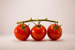 トマトやミニトマトを育てたい︕ベランダ栽培の仕方についてチェック