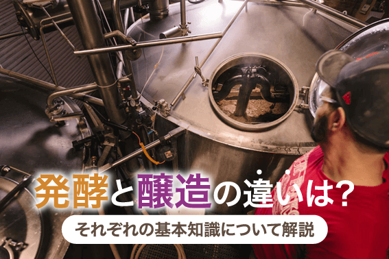 発酵と醸造の違いは？それぞれの基本知識について解説