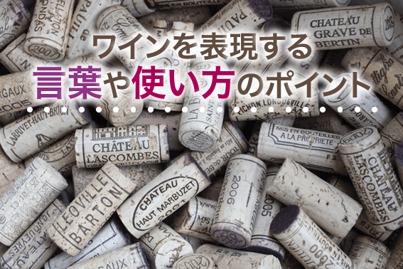 ワインを表現する言葉とポイント 通信教育 通信講座のsaraスクールジャパン資格講座