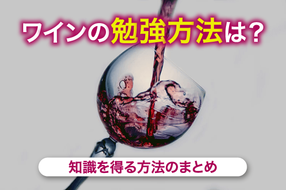 ワインの勉強方法は？知識を得る方法のまとめ