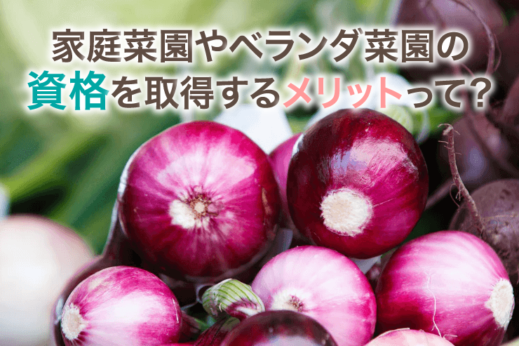 家庭菜園やベランダ菜園の資格を取得するメリットって？