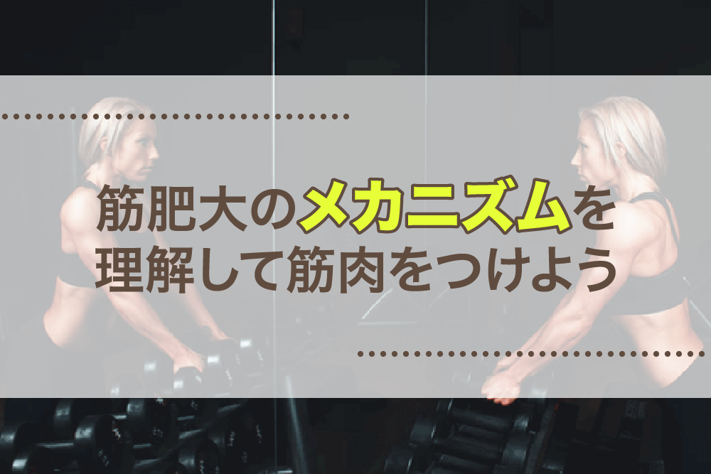 筋肥大のメカニズムを理解して筋肉をつけよう