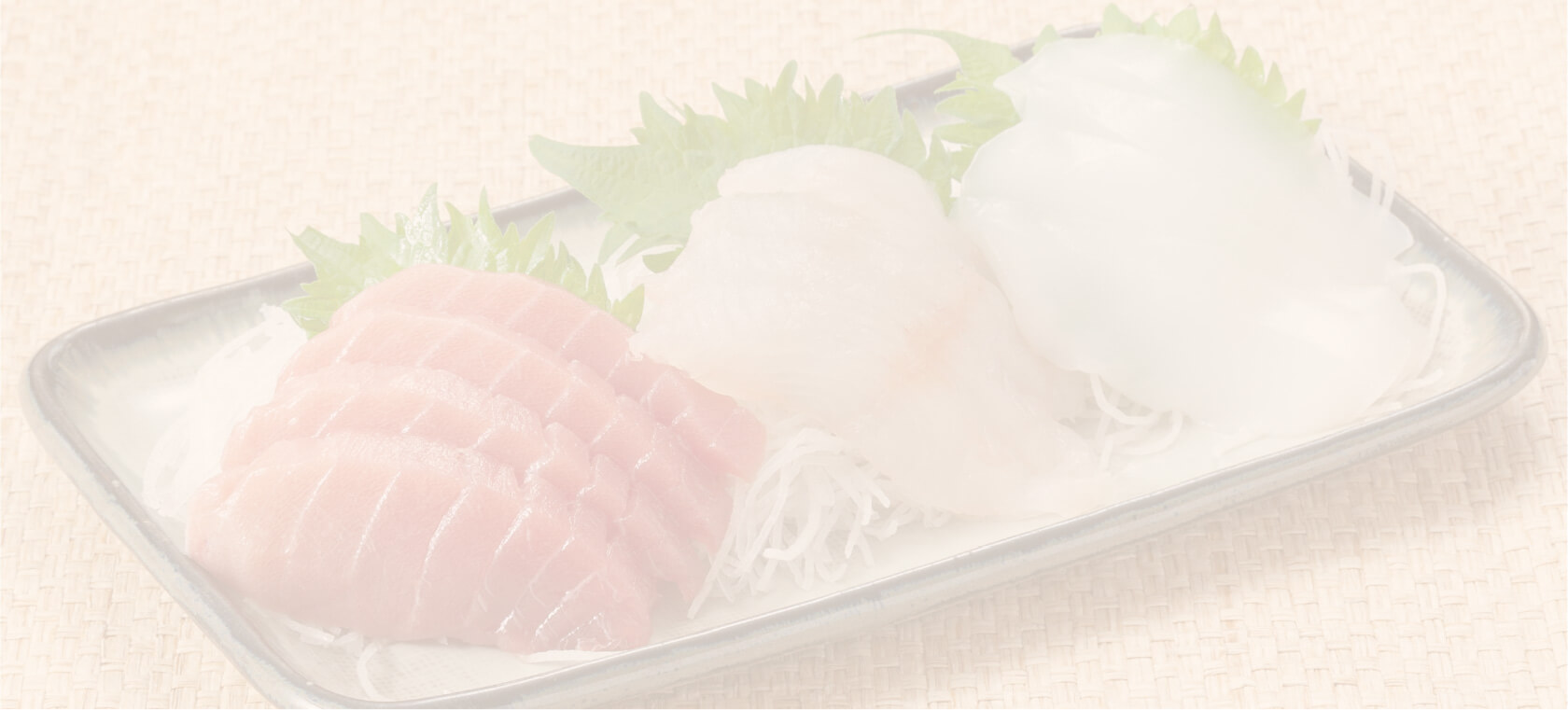 SARAの魚講座で取得できる資格
