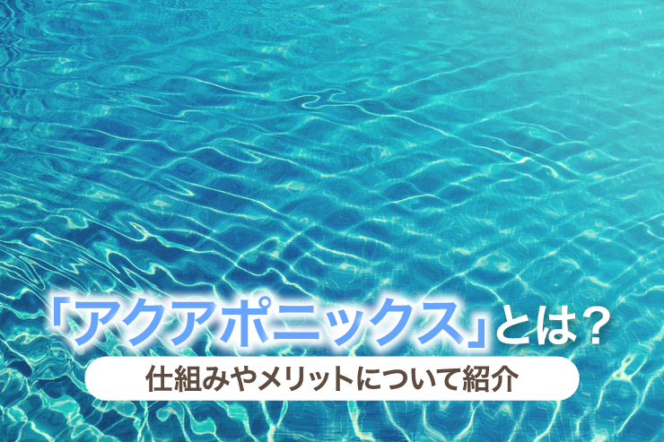 「アクアポニックス」とは？仕組みやメリットについて紹介