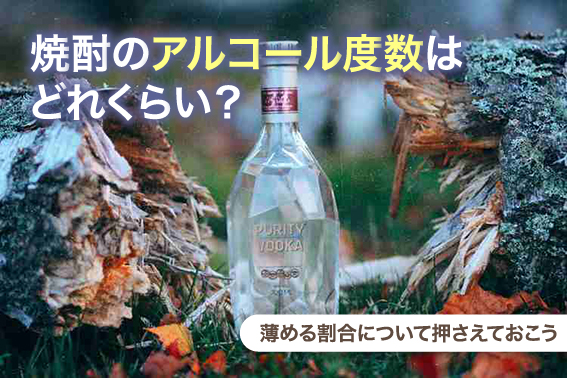 焼酎のアルコール度数はどれくらい？薄める割合について押さえておこう