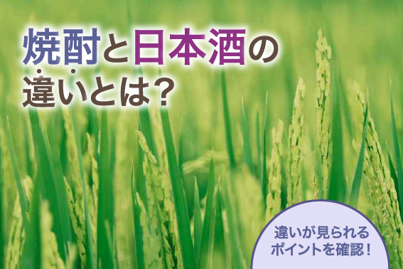 焼酎と日本酒の違いとは？違いが見られるポイントを確認！