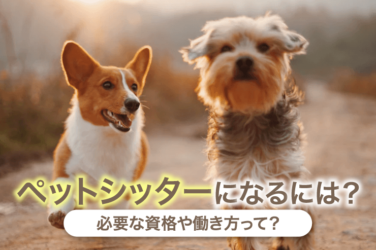 ペットシッターになるには?必要な資格や働き方って?