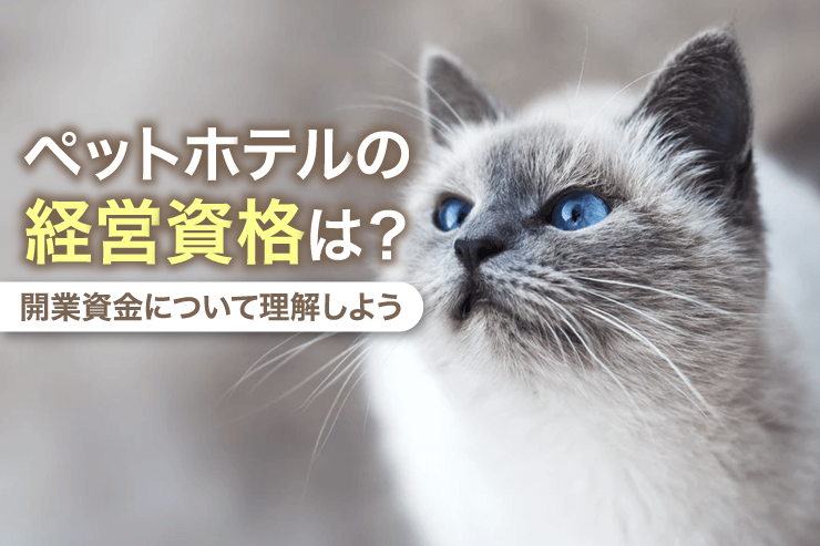 ペットホテルの経営資格は？開業資金について理解しよう