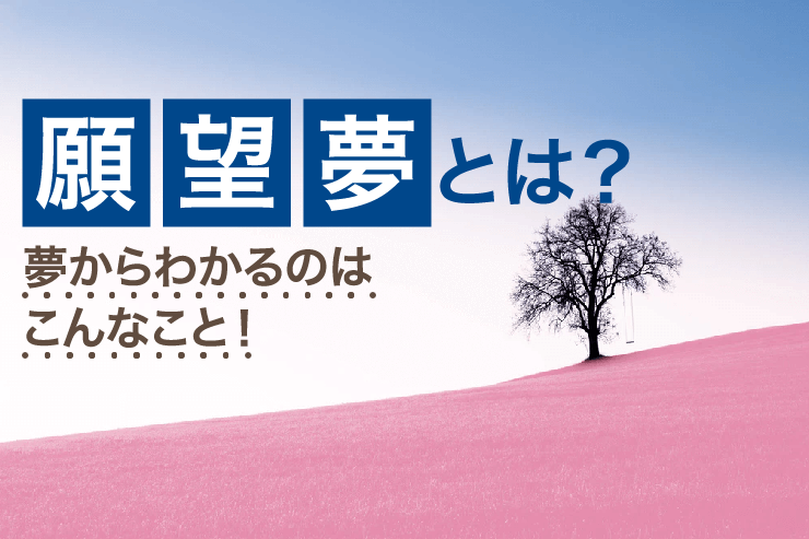 願望夢とは？夢からわかるのはこんなこと！