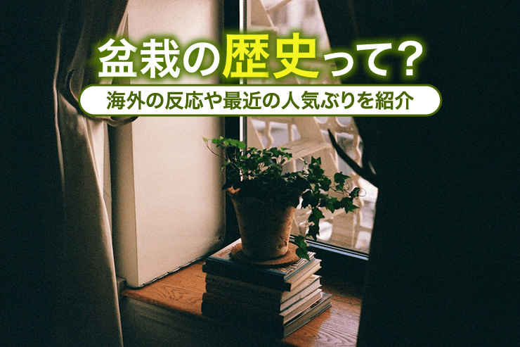 盆栽の歴史って？海外の反応や最近の人気ぶりを紹介