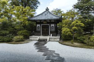 盆栽の置き場所はどうする？押さえておきたいポイントを紹介