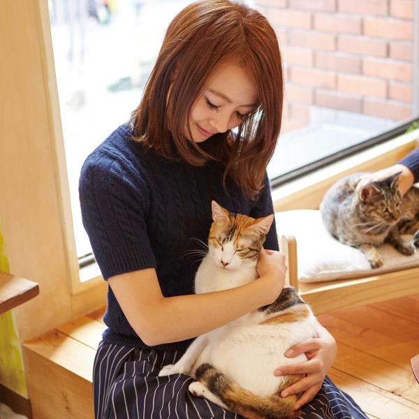 猫の育て方資格取得講座