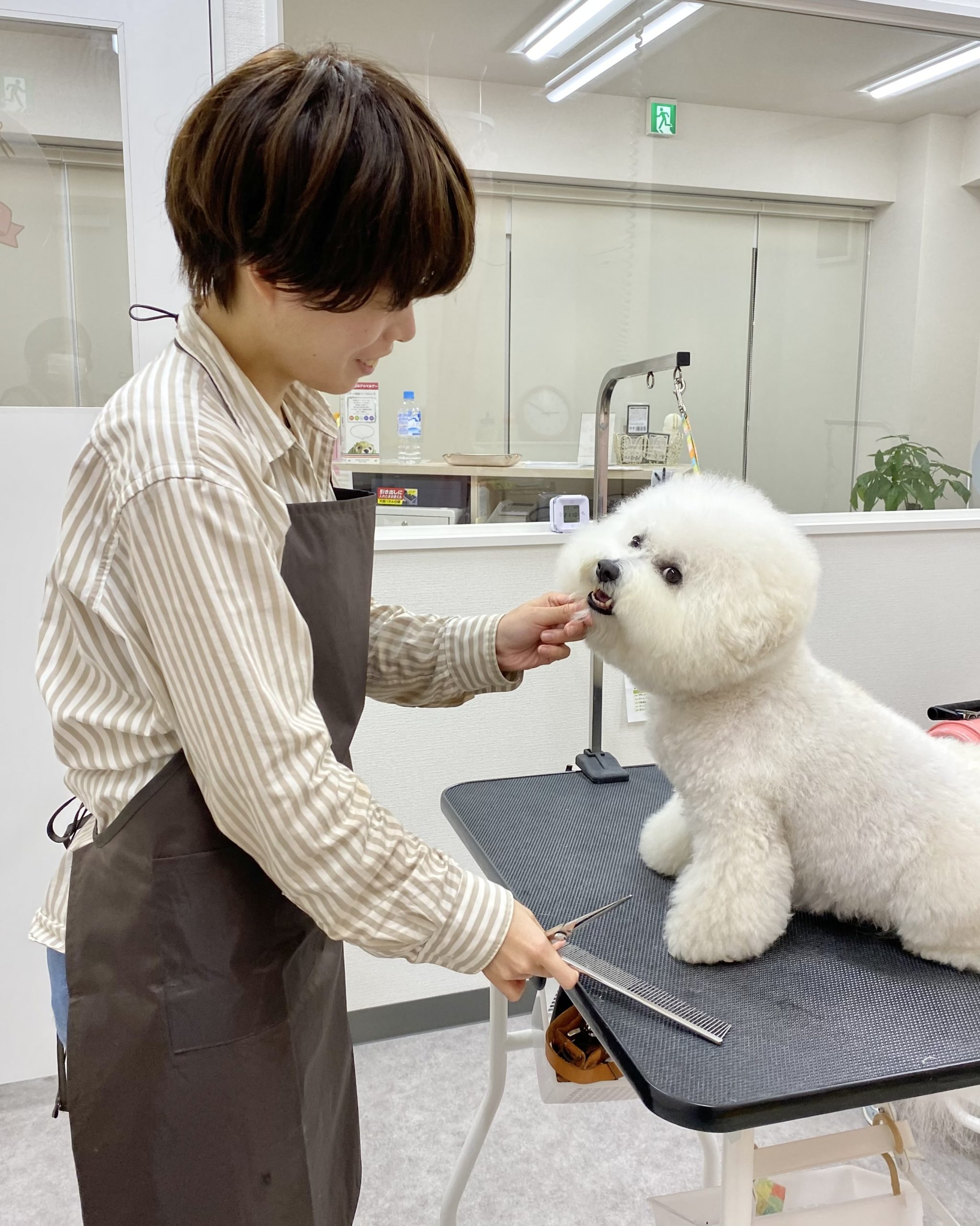 まんまるカットが得意でワンちゃんの可愛さを引き出すカットスタイルが人気。<br />
「今までで一番可愛くなりました！」と喜びの声多数。<br />
飼い主様向けのお手入れ教室やトリマーさん向けのトリミングセミナーやコンサルティングなど講師としても活躍。