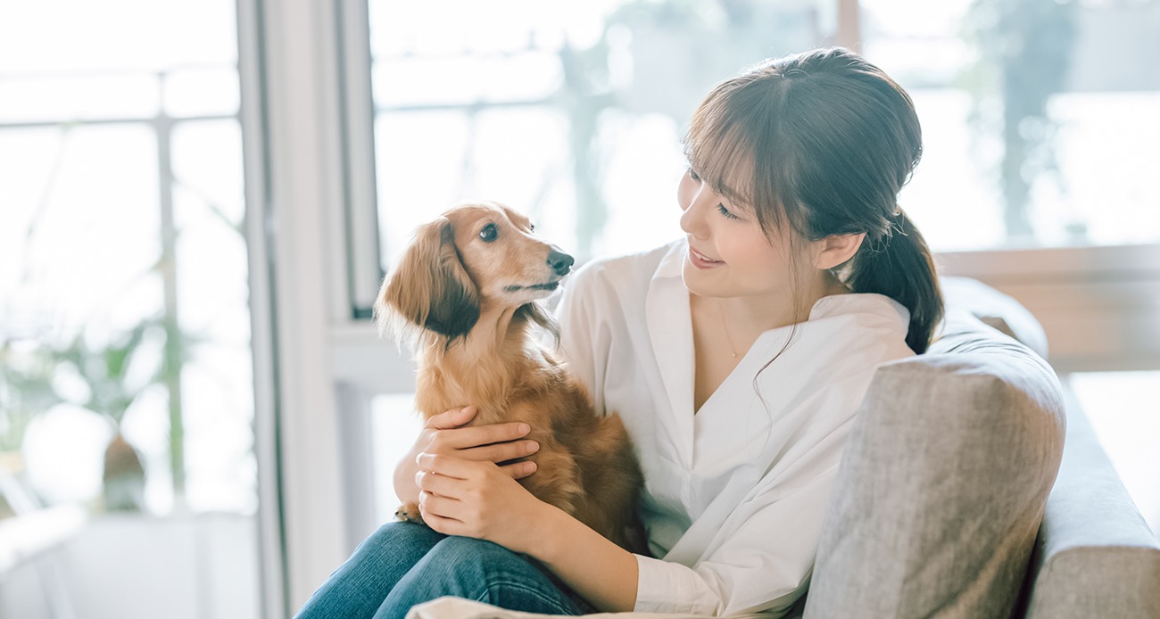 ペットを飼い主の家族として育てる！ブリーダーの資格と仕事 