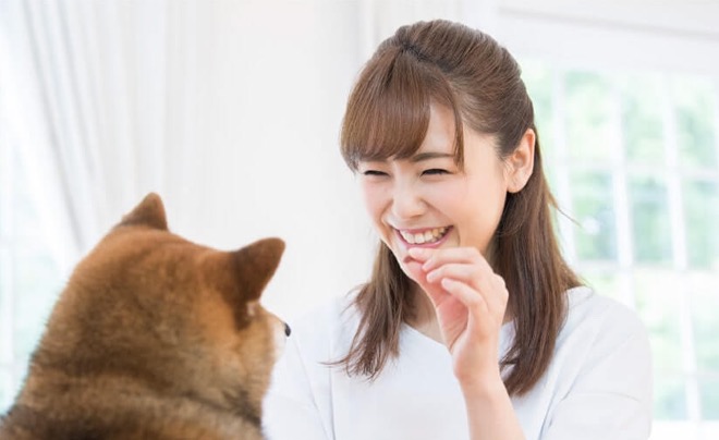 犬・猫ペットブリーダー