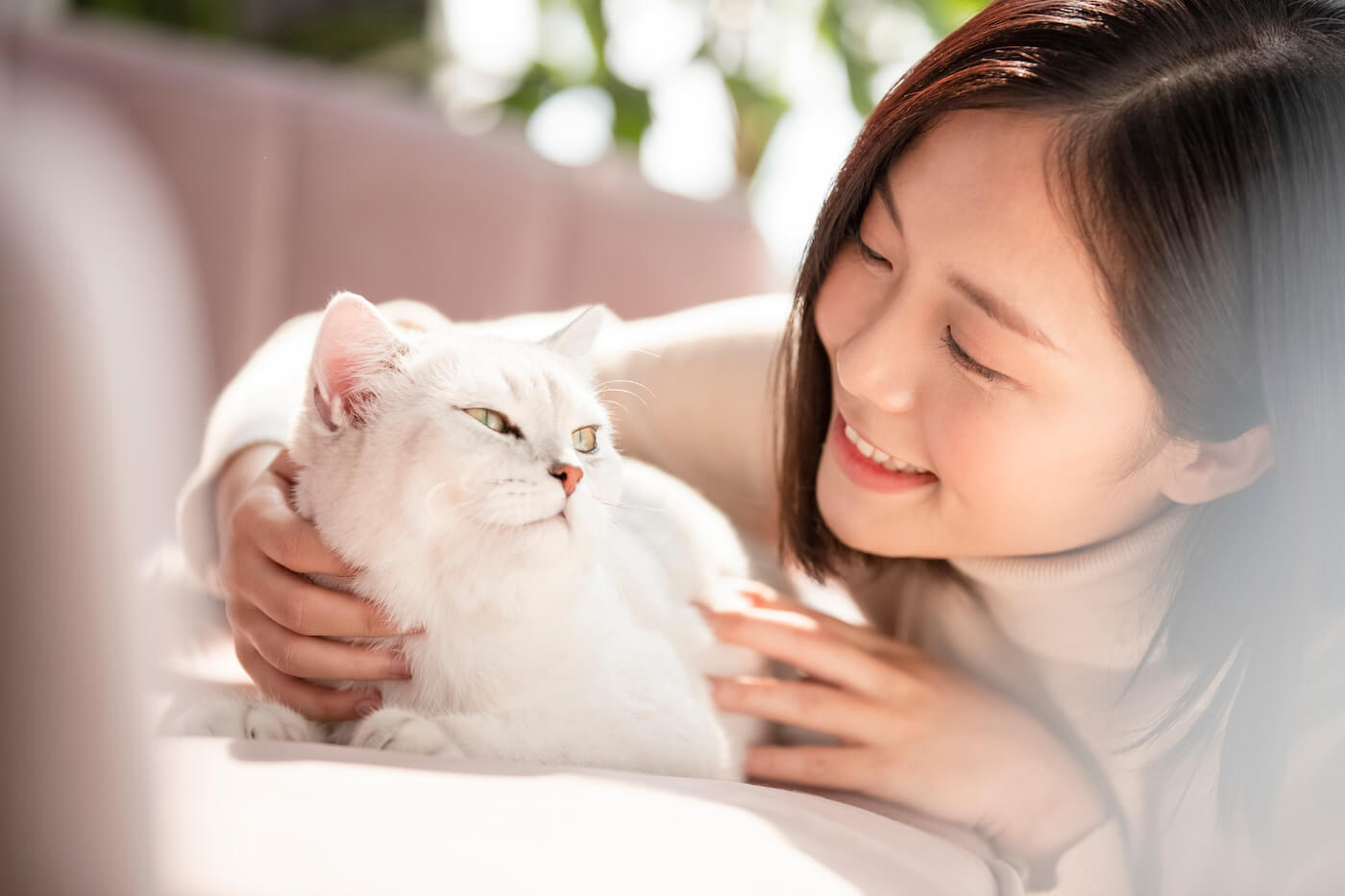 ペットに関する資格の取得はこんな人におすすめ!