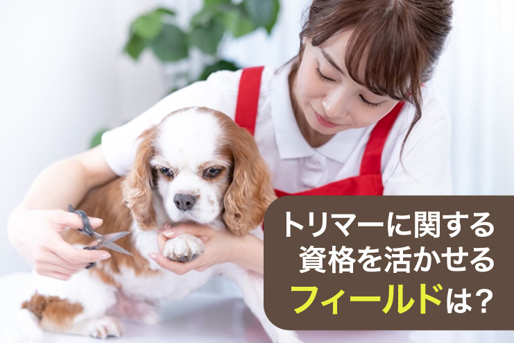トリマーに関する資格を活かせるフィールドは?