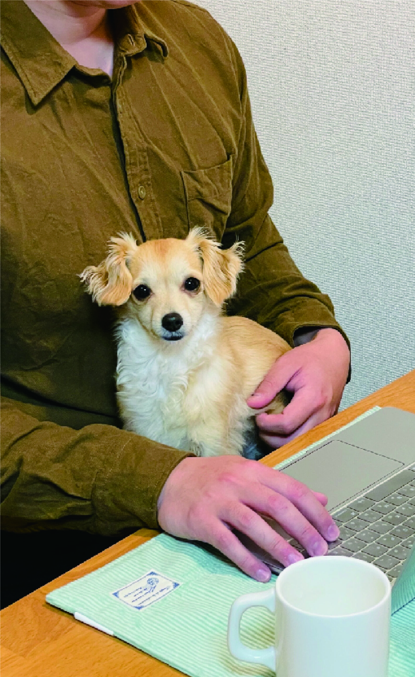 消防職員として8年間火災の原因をまとめる業務に携わり文章作成の基本を学ぶ。<br />
そこで得た文章作成のスキルを用いて、愛犬との生活、飼育方法について独学で学んだ知識を広めるため、webライターとしての活動を開始し現在に至る。<br />
主に犬の飼育に関する記事を始め、様々な分野の記事作成・監修等を行う。