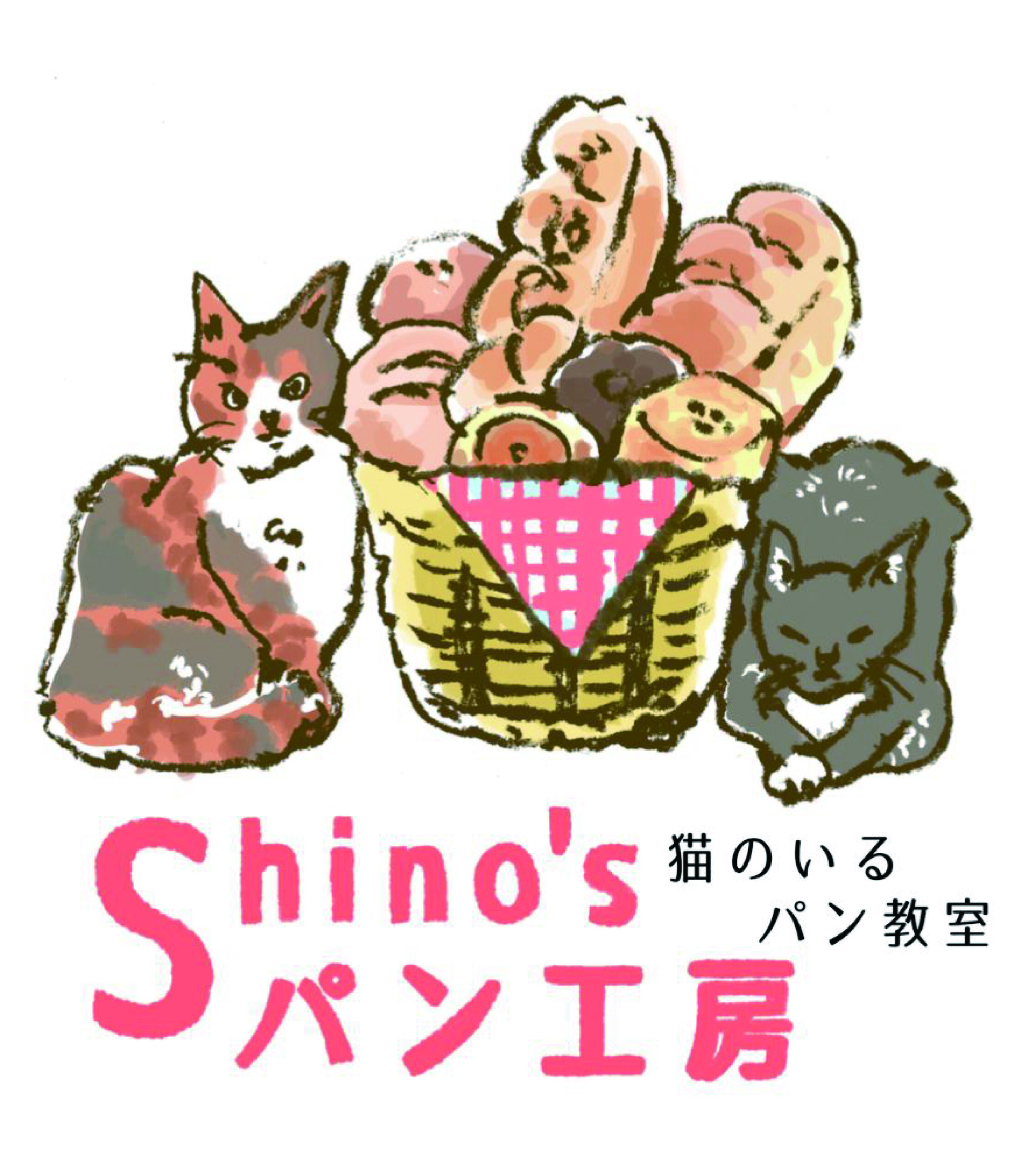 shino 先生