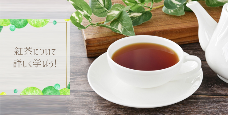 紅茶について詳しく学ぼう！
