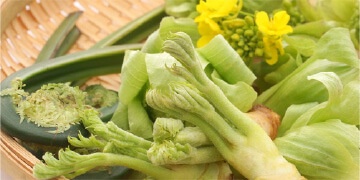 山菜