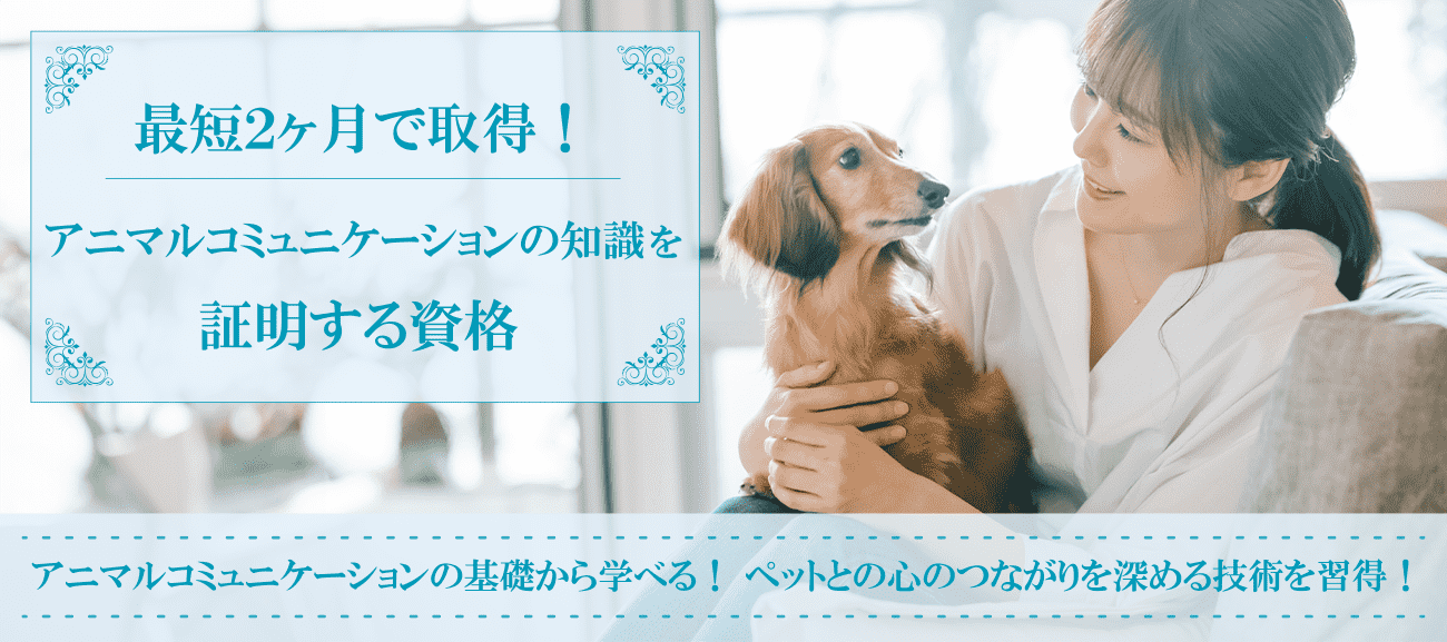 アニマルコミュニケーション資格取得検定の通信講座