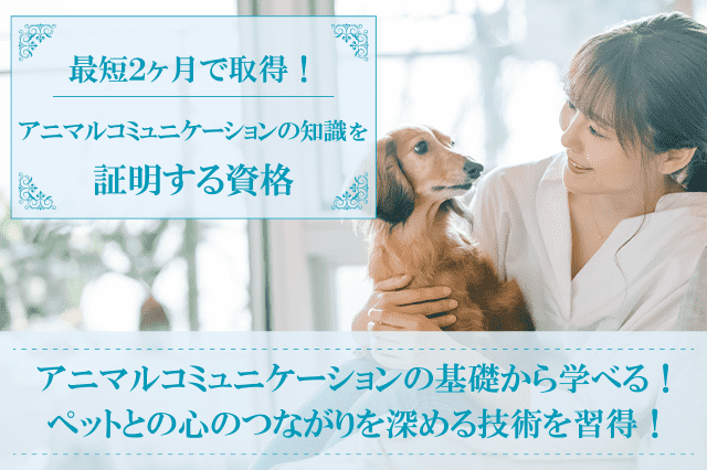 アニマルコミュニケーション資格取得の通信講座・通信教育