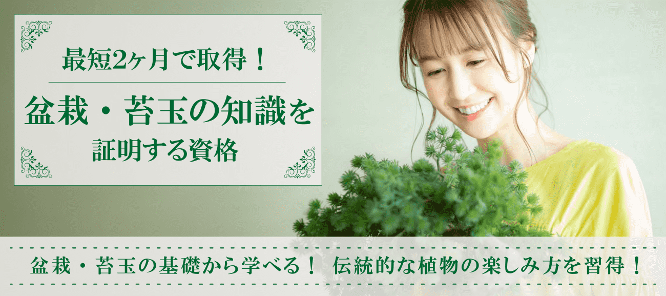 盆栽資格取得検定の通信講座