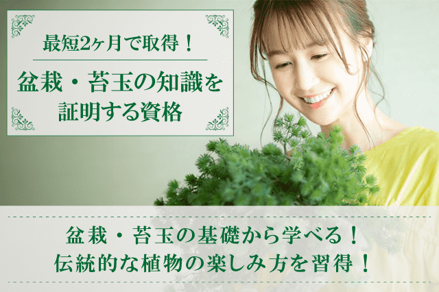 盆栽資格取得の通信講座・通信教育 | SARAスクール