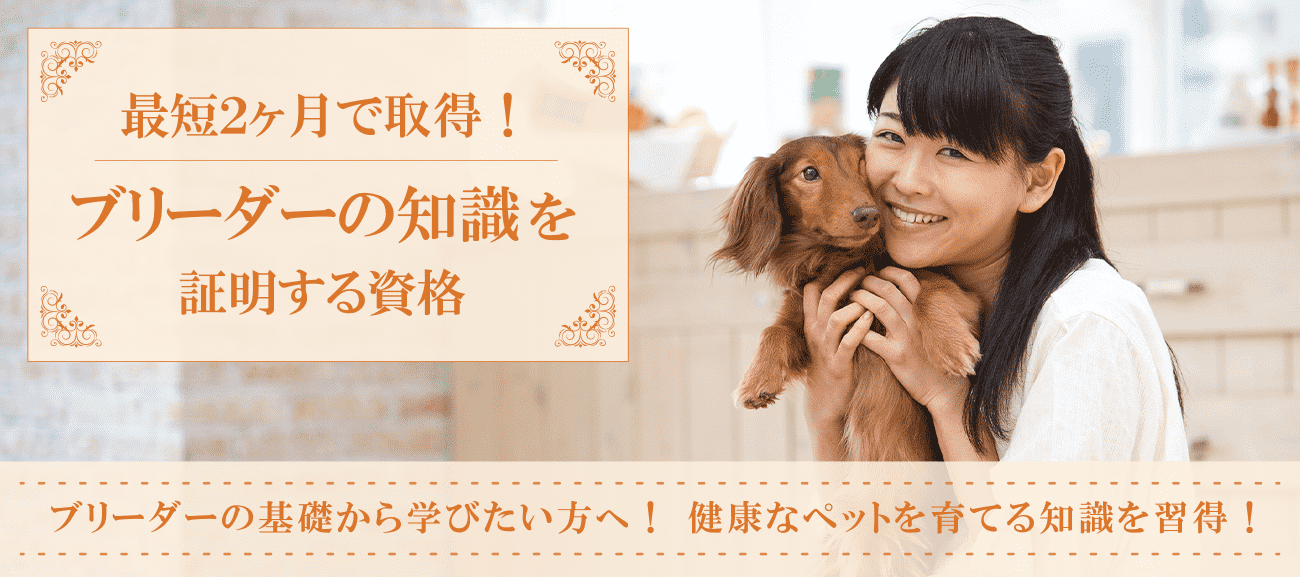 ブリーダー資格取得検定の通信講座