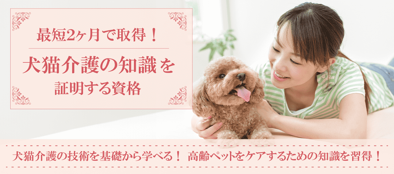動物介護資格取得の通信講座