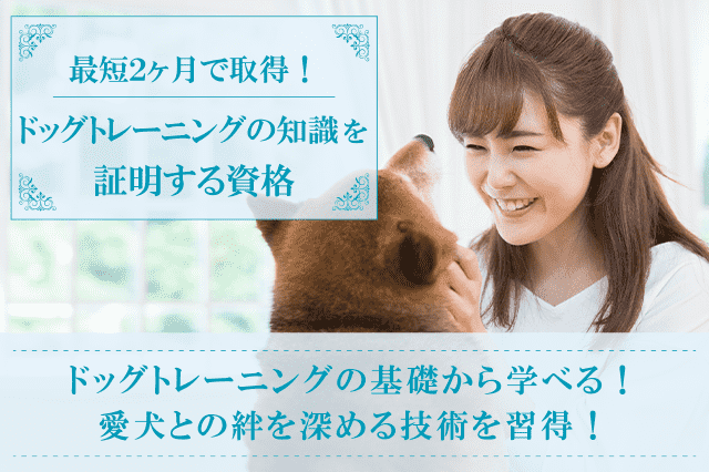 ドッグトレーナー資格・犬のしつけ資格取得の通信講座・通信教育 ドッグトレーナー資格・犬のしつけ資格取得の通信講座・通信教育