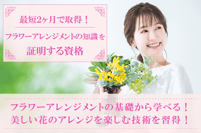 ディプロマ同梱 (社)MSR協会認定 メンタリティカラーリスト 認定